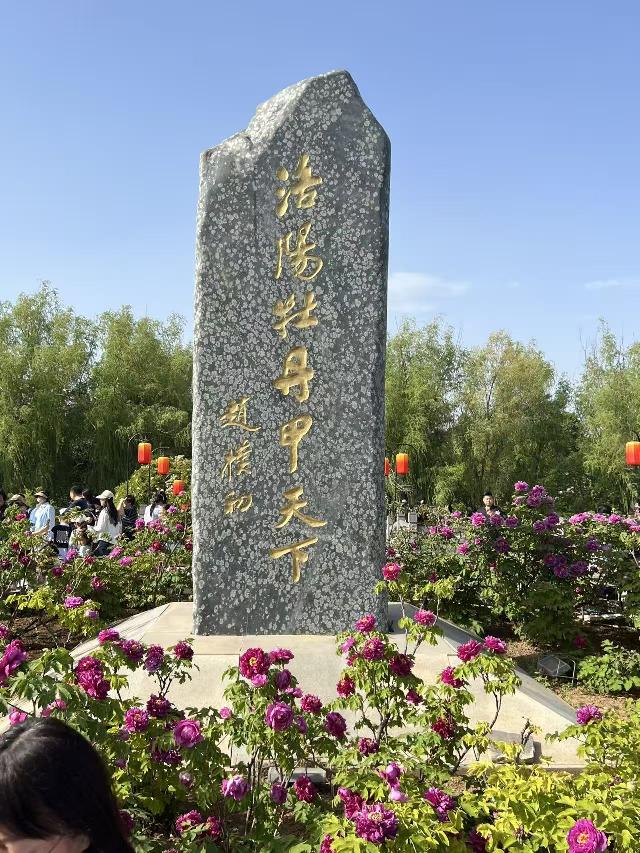 洛阳牡丹�.jpg